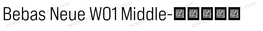 Bebas Neue W01 Middle字体转换